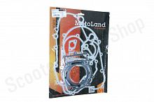 Прокладки двигателя 177MM (NC250) ZS