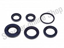 Сальники  Address 100  24х43х6 27х40х6 17х28х5,5 17х27х6  25х37х6 33х39х4 комплект