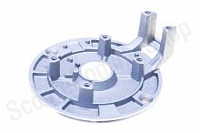 Пластина крепления генератора  TTR125  1+1  "LIPAI"