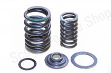 Пружины клапана с тарелками ZS167/169FMM Sport001-006 +