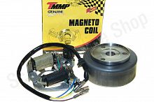 Генератор в сборе 139FMB Delta Alpha 50-110cc  2 катушки ТММР