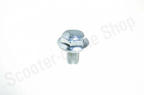 Болт передней вилки Alpha, Delta М10х1,25 -18мм фото фотография изображение картинка Болт передней вилки Alpha, Delta М10х1,25 -18мм фото фотография изображение картинка