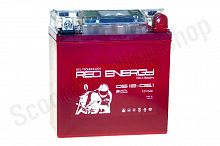 Аккумулятор DS 1205.1 Red Energy жк дисплей 120x61x129