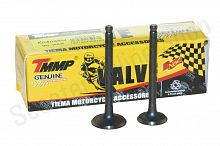 Клапаны 139FMB 70-110cc Delta Alpha TMMP 