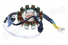 Статор генератора ZS177MM 250cc  RC250-GY8A