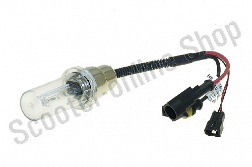 Лампа ксенон H6 (12V 50W DC AMP)   4300K фото фотография изображение картинка