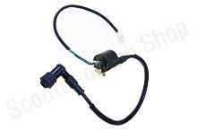 Катушка зажигания ATV T-Rex, Raptor, Grizzlik, Commander, Micro 12V 