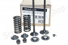 Клапаны + ремкомплект 170MM-2 CB250 water, 177MM NC250  D-28 d-24 h-100