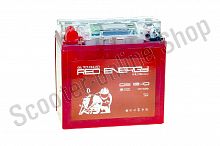 Аккумулятор DS 1210 Red Energy 137x77x135