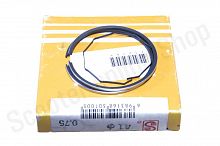 Кольца поршневые  AD50  50cc 3рем. +0,75  d-41.75 See