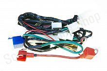 Жгут проводов Irbis Dingo T125 