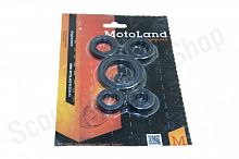 Сальники двигателя  167FML (CG200-B)