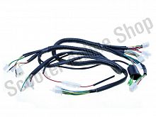 Жгут проводов R50,STORM,S50 