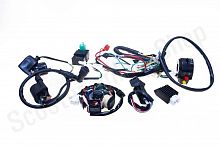 Проводка в сборе   ATV  50/110   "FLD"