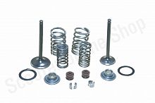 Ремкомплект головки 153FMI  154FMI d-23/28 (пружина, тарелки, сухари, клапана, масл.колпачки)