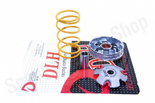 Вариатор в сборе  тюнинг Dio AF27  ролики 9г  "DLH" фото фотография изображение картинка