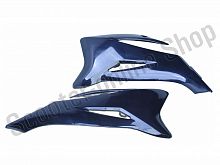Пластик боковой передний (пара) TTR125-1 черный