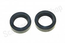 Сальники вилки   Delta 25*35*9 x2/10*2 "ZV" комплект