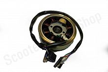 Генератор в сборе ATV200 WELS EVOX200  8 кат.  / 263268001001