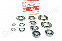 Подшипники двигателя 194MQ (450NC) X-TECH комплект