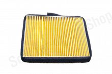 Элемент воздушнего фильтра ATV200 Evox