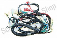 Проводка Racer Indigo 110cc IND0139