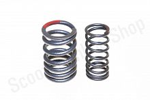 Пружина клапана (большая + малая)  172FMM Zongshen ZS  (100200728)