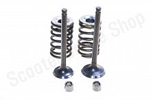 Клапаны + ремкомплект  139FMB  Delta  Alpha 70-110cc