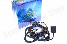 Статор генератора  152FMH Active 110  5+1  "LIPAI"