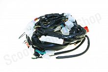 Проводка Forester 200 Motoland