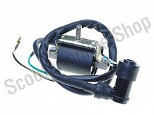 Катушка зажигания 139FMB  Delta Alpha JIANXING
