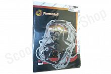 Прокладки двигателя 152FMH Active 110  d-52.40  F6 комплект