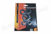 Сальники двигателя 165FMM (CBB250) ZS