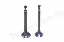 Клапаны  мотокоса  4T 139F  d-14 d-13.5  h-44 2шт