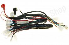 Проводка ATV110 COUGAR