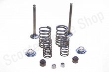 Клапаны (пара, в сборе)   4T GY6 80   (L-66mm)