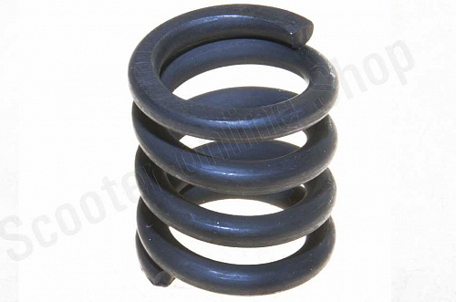 Пружина вала сцепления F50/F80 фото фотография изображение картинка