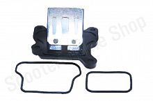 Клапан лепестковый  AD50, AD100 (большой)