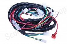 Проводка GY6-150 157QMJ 150cc  J-131