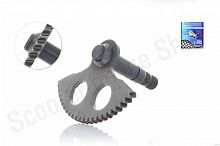 Сектор кикстартера  BWS 100  "Lipal"