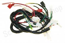 Проводка ATV70 BEETLE